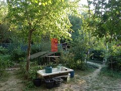 Darasti, Vlasca, vanzare teren intravilan
